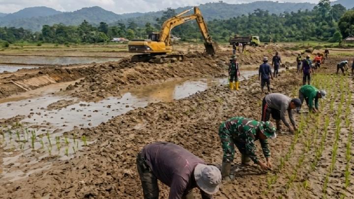 Puluhan Ribu Hektare Sawah Terdampak Kembali Produktif, Satgas PRR Dorong Akselerasi Pemulihan