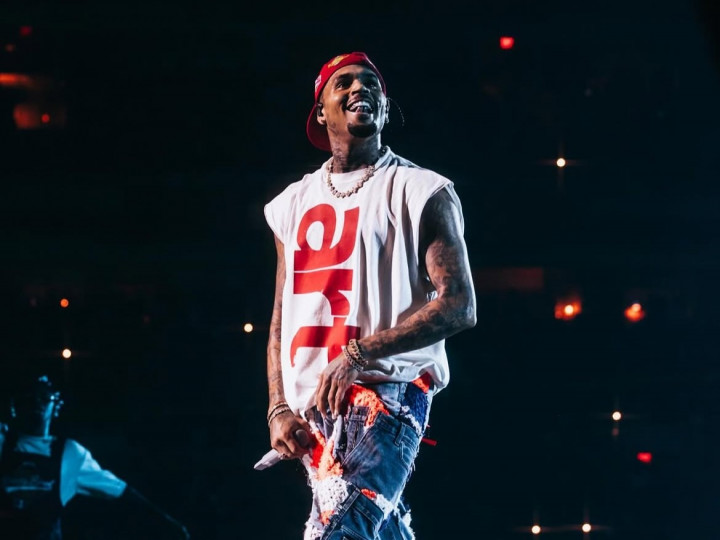 Anjingnya Lukai Pegawai Hingga Cacat, Chris Brown Harus Ganti Rugi Rp233 M