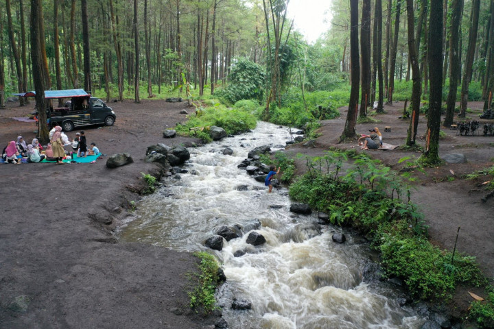 Sering Burnout? <i>Healing Forest</i> Terbukti Ilmiah Ampuh Atasi Stres