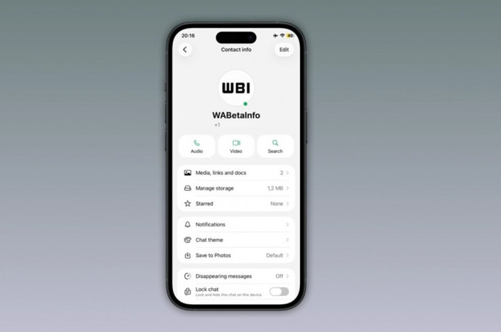 WhatsApp Uji Indikator Titik Hijau untuk Kontak yang Sedang Online di iPhone