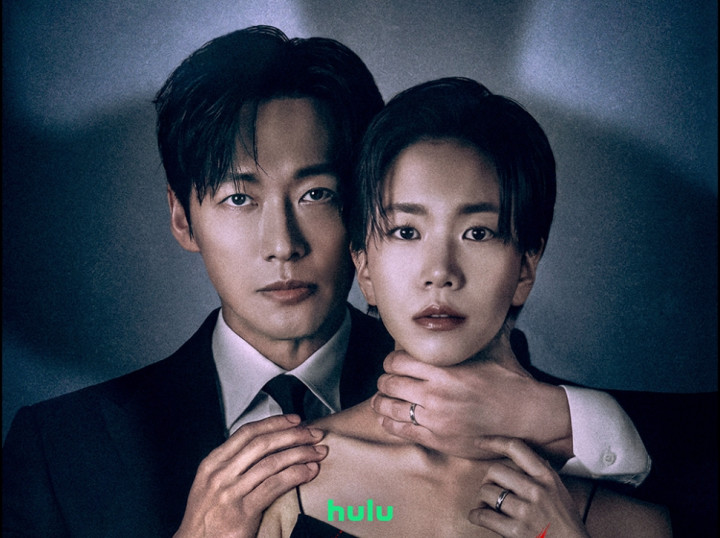Drakor The Husband Episode 1-12: Jadwal Tayang, Sinopsis, dan Link Nonton Sub Indo