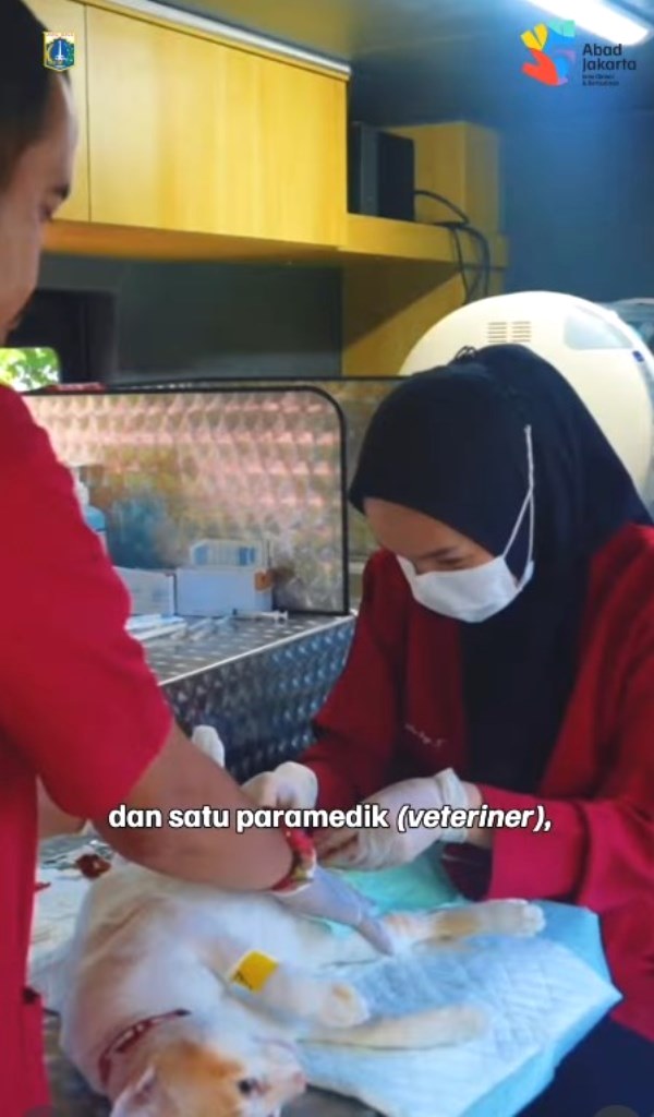 POV: Anabul Kamu Lagi Check-up di Mobil Klinik Hewan Keliling, So Fancy!