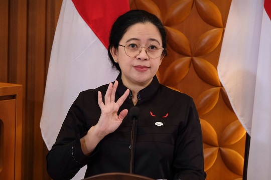 Ketua DPR RI Puan Maharani. DOK Istimewa