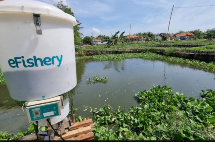 PM Malaysia Akui Pengelola Dana Pensiun Malaysia Tertipu Investasi di eFishery