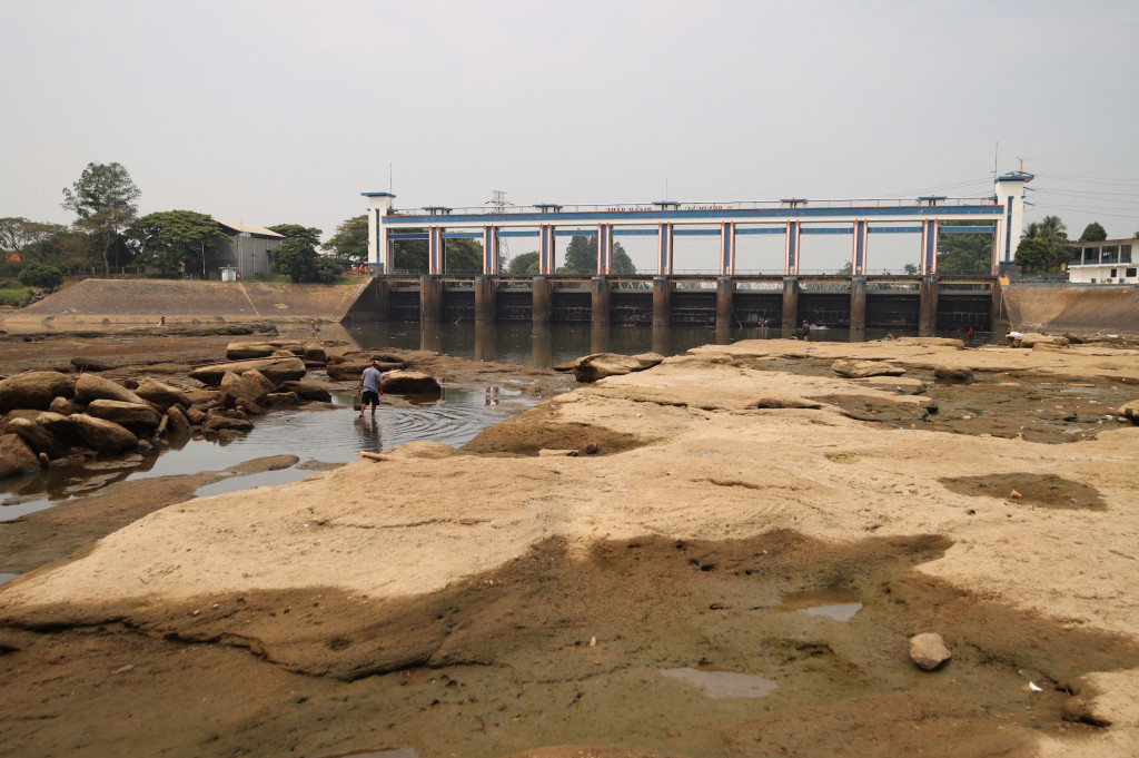 Air Sungai Cisadane Menyusut, Warga Ramai Mencari Ikan