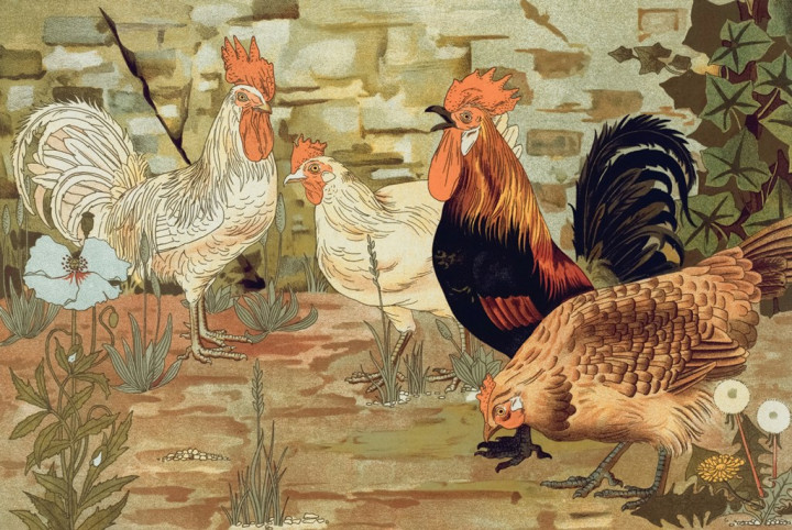 Shio Ayam Panen Cuan, Cek Shio Lainnya Apakah Ikutan Cuan Juga?