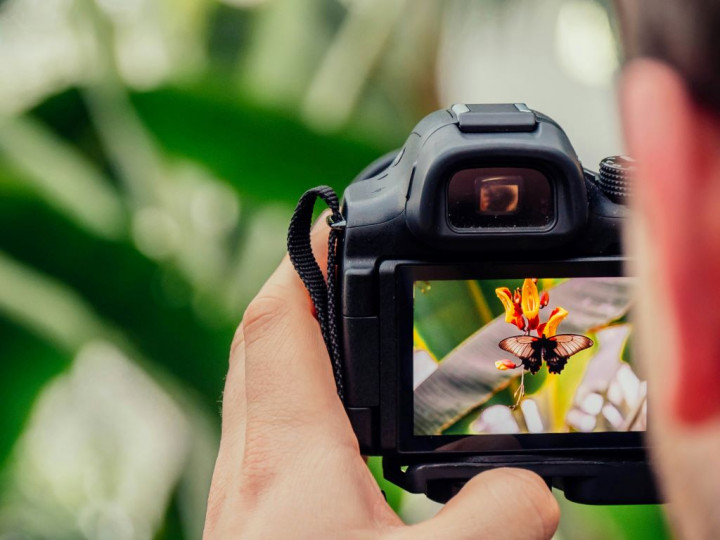 Cara Jual Foto Online di Shutterstock hingga Getty Images, Bisa Jadi Passive Income