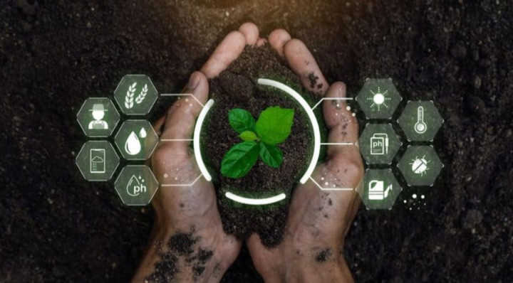 Bukan Cuma Ramah Lingkungan, Biogas Bisa Jadi Solusi Energi Murah untuk Desa