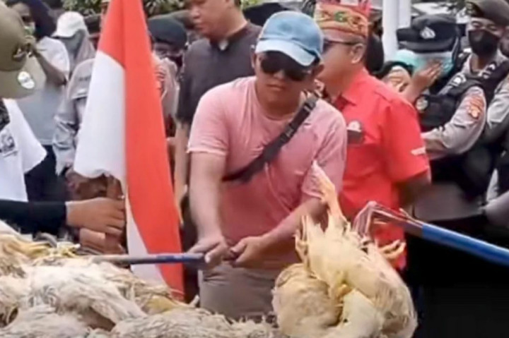 Pelaku Usaha Perunggasan Soroti Dampak Gangguan Pasokan Energi
