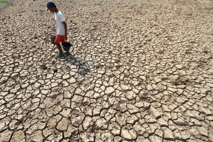 El Nino Diprediksi Bertahan hingga Awal 2027, BMKG Perkuat Modifikasi Cuaca untuk Hadapi Kekeringan