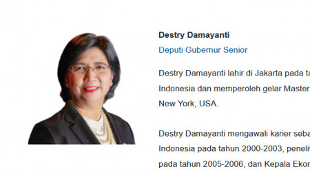 Pendidikan Mentereng Destry Damayanti Calon Gubernur BI, Lulusan UI dan Cornell University
