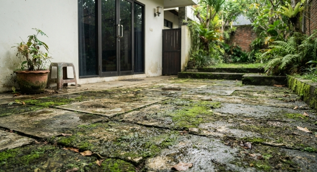 7 Cara Cegah Lumut Tumbuh di Lantai Teras Rumah