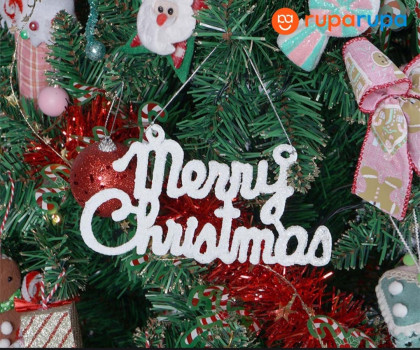 5 Tips Memilih Pohon Natal untuk Ruang Tamu di Rumah