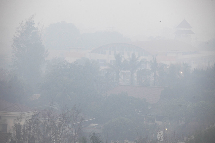 Kebakaran Hutan: Dana BOS Bisa Dipakai, SE Protokol Pembelajaran Darurat Disiapkan