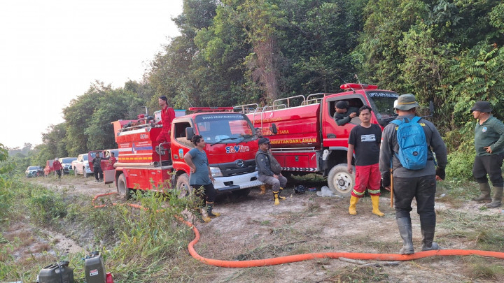 6 Provinsi di Kalimantan dan Sumatera Prioritas Penanganan Karhutla, Operasi Darat Jadi Ujung Tombak