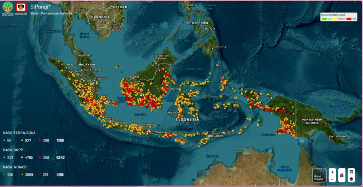 Cara Cek Titik Karhutla di Indonesia Secara Online Lewat SiPongi+ dan BMKG