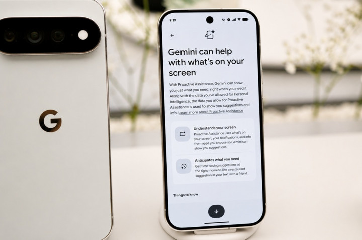 Gemini Kini Bisa Bantu Atasi Masalah di Pixel 11