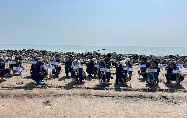 Bagaimana Mangrove Bisa Jadi Solusi Abrasi Pesisir? Begini Proses Rehabilitisainya