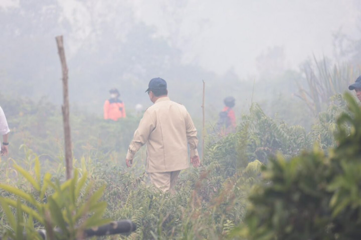 Karhutla dan Kabut Asap, Pemerintah Siapkan Water Bombing hingga Perlindungan Kesehatan