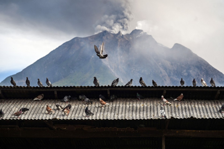 ​Gunung Sinabung Erupsi, Semburkan Abu Vulkanik