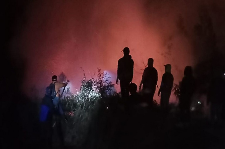 Kebakaran Ijen Masuk Kawasan Konservasi, Petugas Kini Fokus