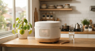 5 Rice Cooker Digital, Harga Mulai Rp700 Ribuan