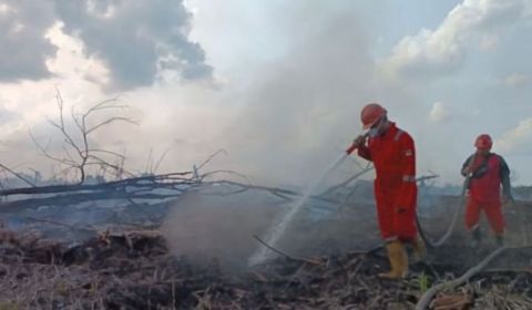 Polda Riau Tetapkan 44 Tersangka dalam 41 Kasus Karhutla