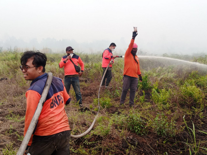 Pembasahan Lahan Gambut Cegah Api Karhutla Kembali Muncul