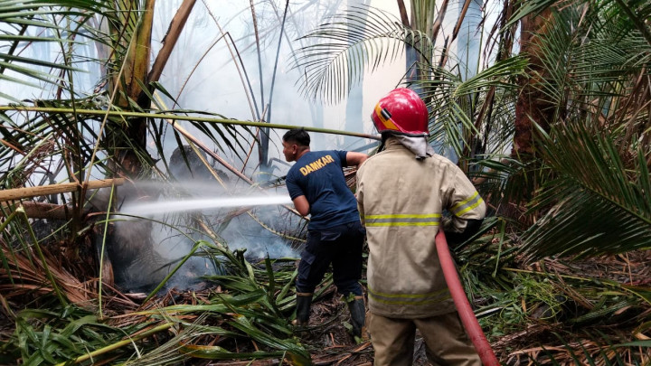 Kebakaran Hingga Banjir Melanda Sejumlah Wilayah pada 7-8 September 2026, Ini Daftarnya