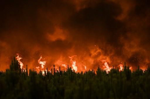 WMO: Asap Kebakaran Hutan dan Gelombang Panas Berisiko Sebabkan Lebih Banyak Kematian