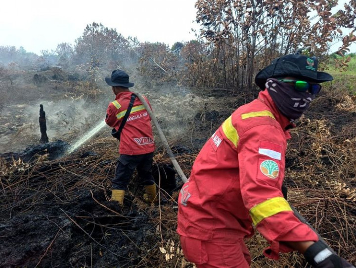Kalsel Nihil Hotspot, Karhutla Kalbar dan Kalteng Jadi Fokus Pengendalian