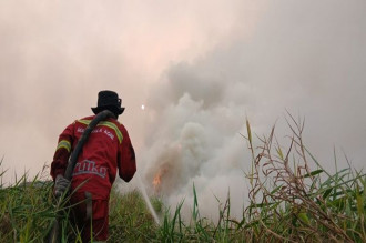 Titik Hotspot Menurun di Beberapa Wilayah, Pengendalian Karhutla