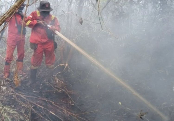 Hujan Semakin Ditunggu Saat Hotspot Karhutla Meningkat, tapi Kemarau Belum Beranjak