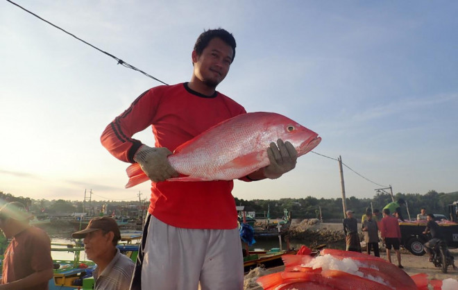 Ikan Kakap. Foto: Kedutaan AS