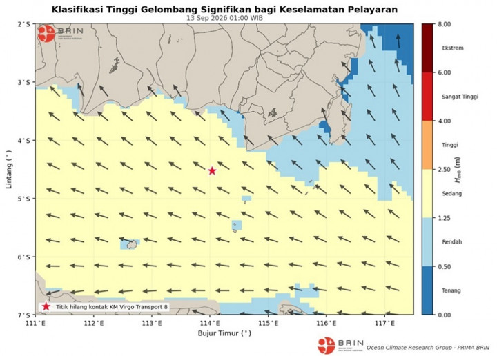 Analisis BRIN: Gelombang Sedang, Bukan Ekstrem, Saat KM Virgo Transport 8 Hilang Kontak