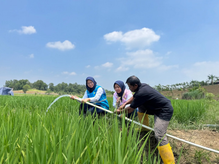 Electrifying Agriculture PLN Bantu Jaga Produktivitas Petani di Musim Kemarau