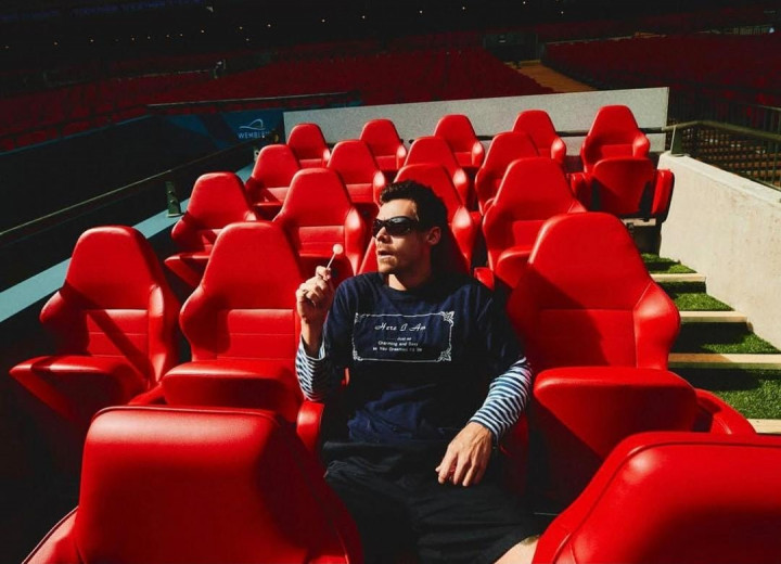 Makna Lagu Coming Up Roses Harry Styles: Rasa Takut dan Kerapuhan Cinta