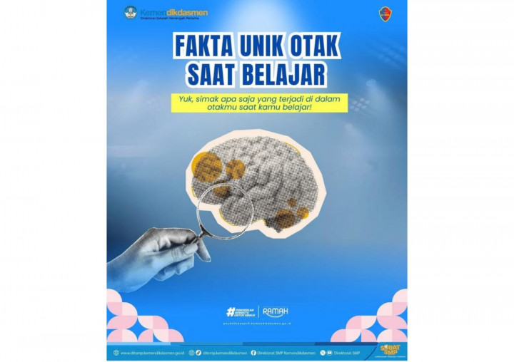 Bukan Cuma Menghafal, Ini Fakta Unik Cara Kerja Otak Saat Belajar