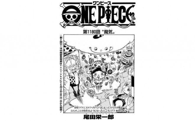 (Foto: onepiece.fandom.com)