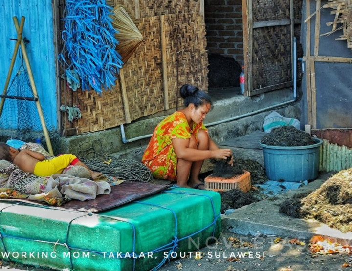 Upaya Indonesia, ILO, dan Swiss Memperluas Inklusi Keuangan bagi Petani Rumput Laut