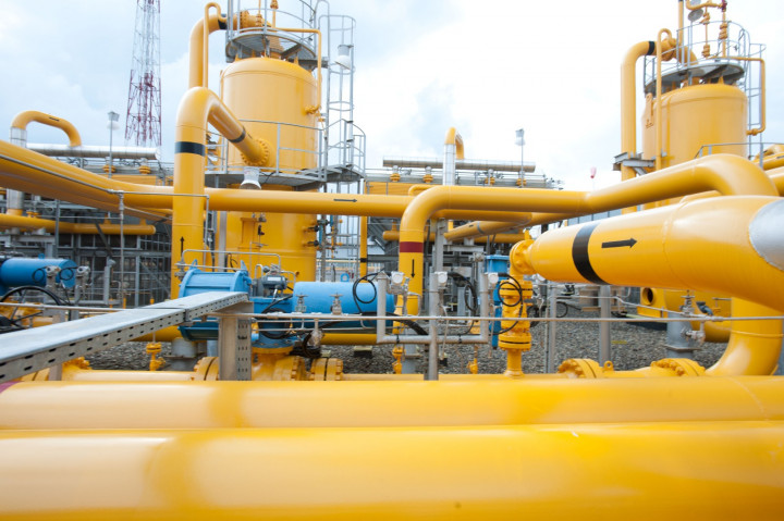 PGN Siap Integrasikan Biomethane ke Infrastruktur Gas, Dorong Pemanfaatan Energi Rendah Karbon