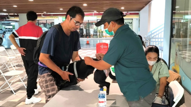 CARE FOR PAW 2026 kembali mengajak masyarakat berbagi untuk anabul melalui donasi pet food, vaksinasi rabies gratis, dan kesempatan adopsi. Dok. Ist