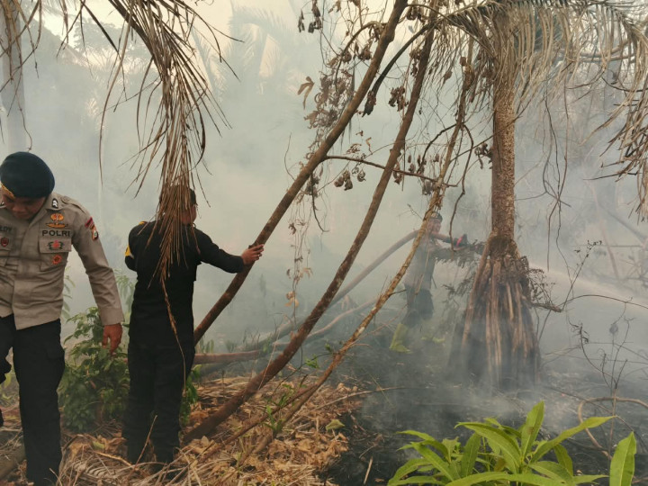 Kebakaran Lahan di Halmahera Timur, Brimob Turun Tangan hingga Lakukan Pendinginan