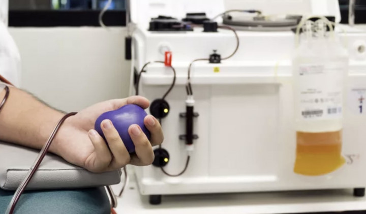 Pemahaman Plasma Masih Rendah, Kemenkes Dorong Kolaborasi