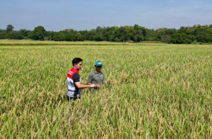Ubah Potensi Desa Jadi Mandiri, Pertamina EP Sabet Apresiasi dari Kemendes PDT