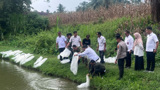 Pembudi Daya Ikan Padang Pariaman Bangkit, Pemulihan Tanggul dan