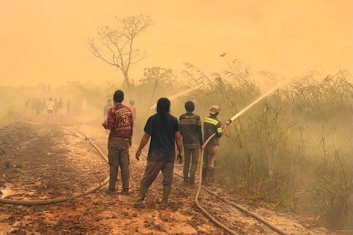 Deretan Artis Suarakan Karhutla Kalimantan dan Sumatra, Nana Mirdad hingga Luna Maya