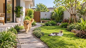5 Ide Taman Rumah Pet Friendly, Nyaman untuk Hewan Peliharaan