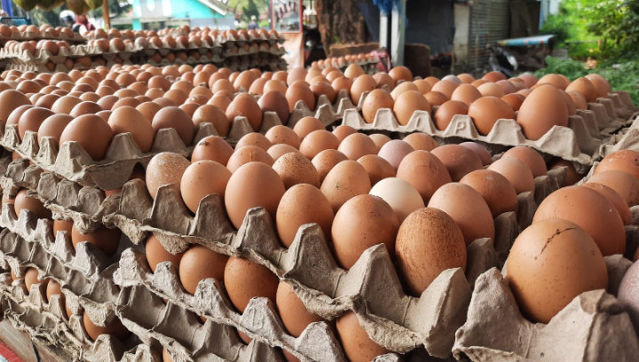 Update Harga Pangan 13 Oktober: Telur Dibanderol Rp29.700 per Kilogram