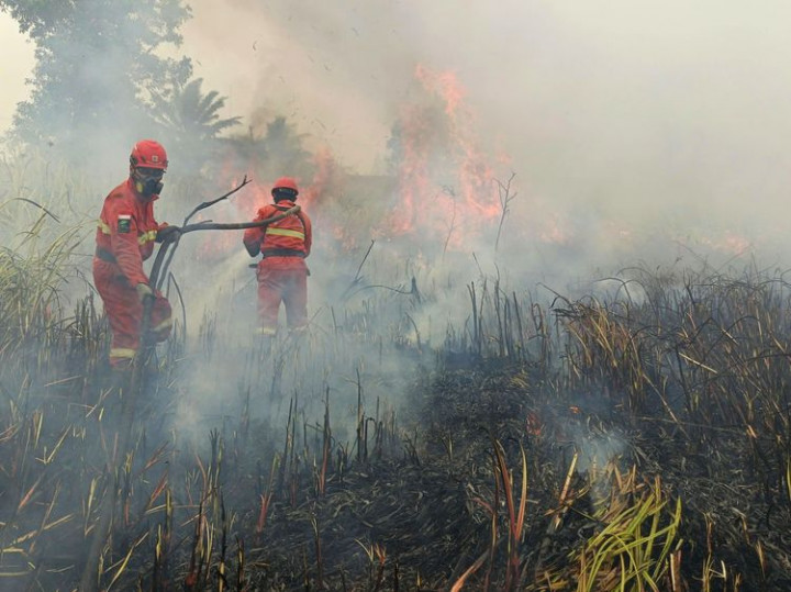 Perusahaan Terlibat Karhutla Terancam Sanksi, Menhut Siapkan 6 Nama Baru